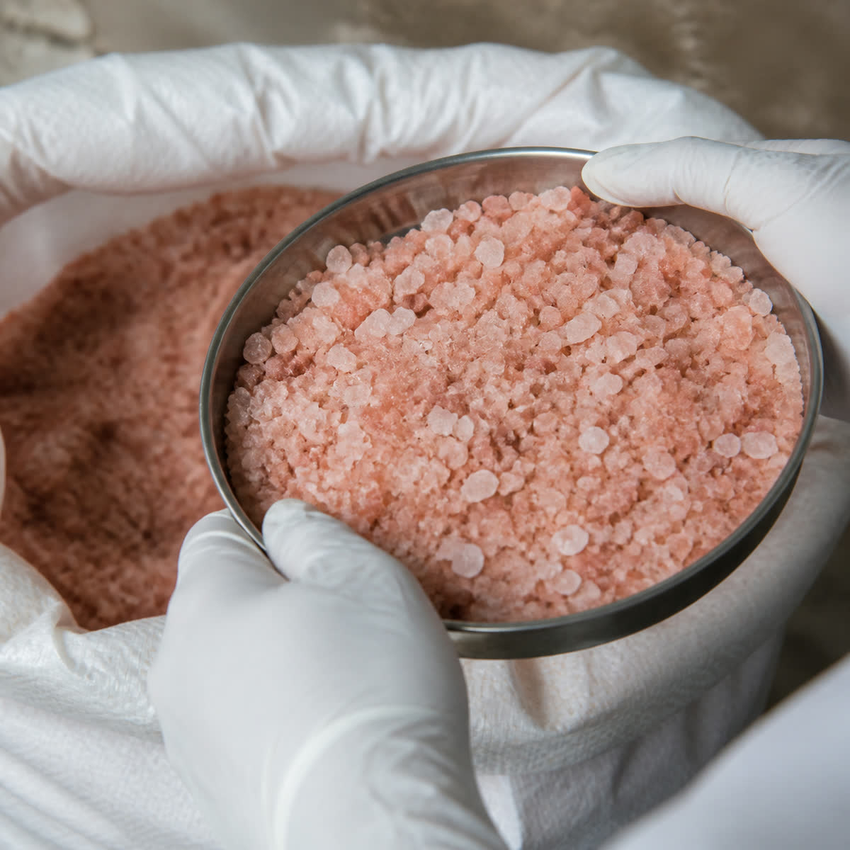 Gloved hands grading pink Himalayan salt in a steel sampling tray
